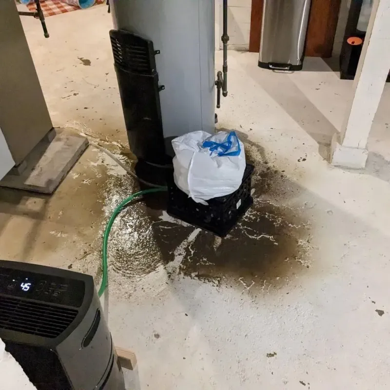 Sewage Backup Cleanup Service in Henry County, OH